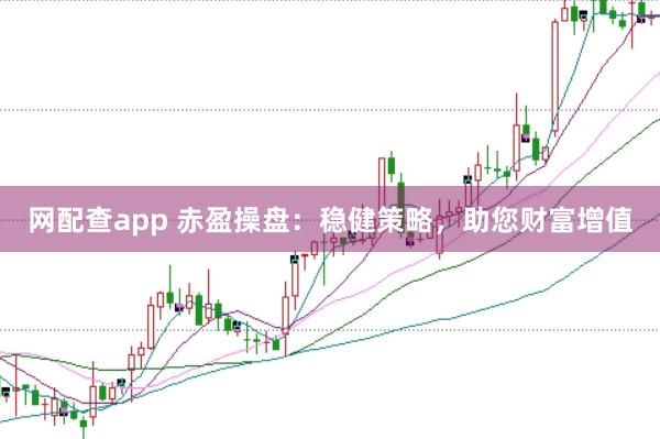 网配查app 赤盈操盘：稳健策略，助您财富增值