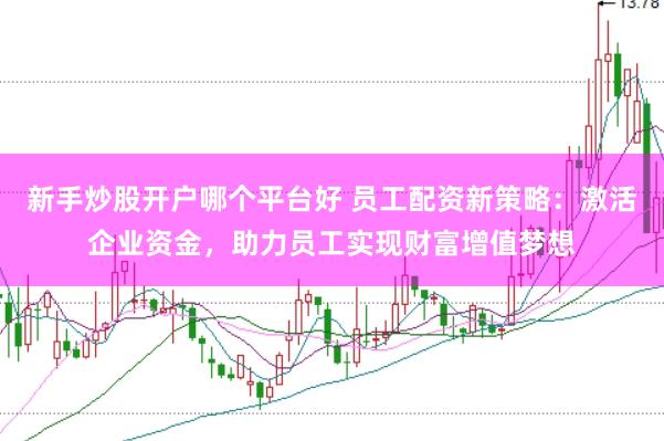 新手炒股开户哪个平台好 员工配资新策略：激活企业资金，助力员工实现财富增值梦想