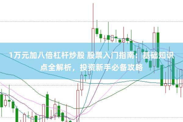 1万元加八倍杠杆炒股 股票入门指南：基础知识点全解析，投资新手必备攻略