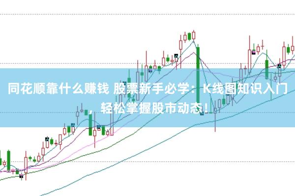 同花顺靠什么赚钱 股票新手必学：K线图知识入门，轻松掌握股市动态！