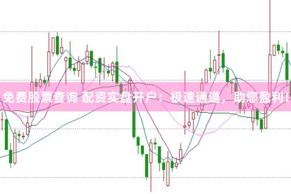 免费股票查询 配资实盘开户：极速通道，助您盈利！