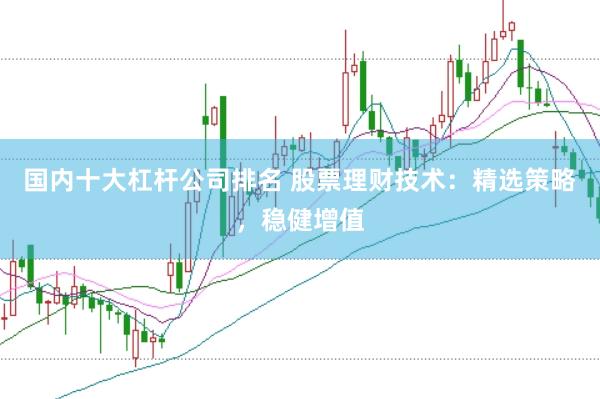 国内十大杠杆公司排名 股票理财技术：精选策略，稳健增值
