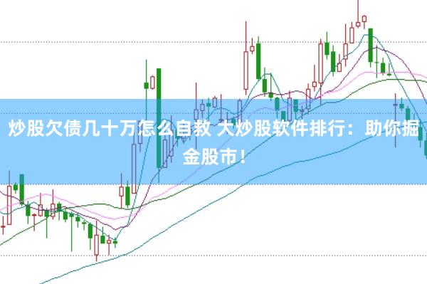 炒股欠债几十万怎么自救 大炒股软件排行：助你掘金股市！