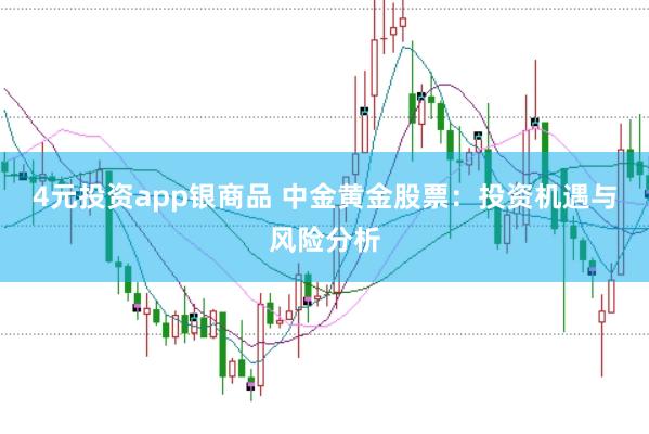 4元投资app银商品 中金黄金股票：投资机遇与风险分析