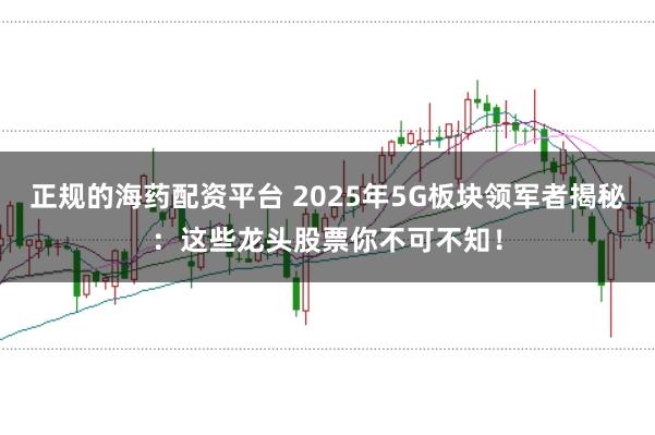 正规的海药配资平台 2025年5G板块领军者揭秘：这些龙头股票你不可不知！