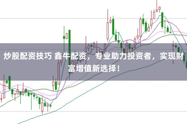 炒股配资技巧 鑫牛配资，专业助力投资者，实现财富增值新选择！