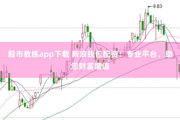 股市教练app下载 新浪钱包配资：专业平台，助您财富增值