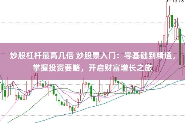 炒股杠杆最高几倍 炒股票入门：零基础到精通，掌握投资要略，开启财富增长之旅