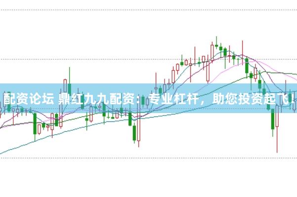 配资论坛 鼎红九九配资：专业杠杆，助您投资起飞！