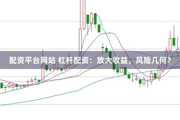配资平台网站 杠杆配资：放大收益，风险几何？