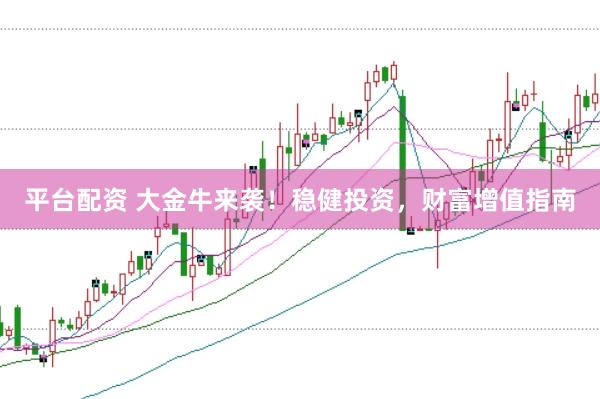 平台配资 大金牛来袭！稳健投资，财富增值指南
