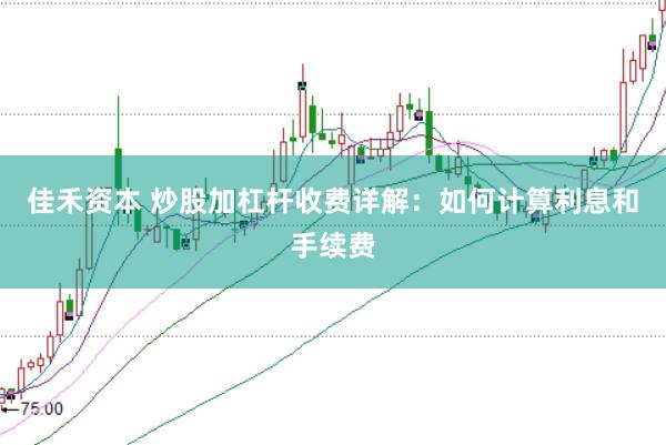 佳禾资本 炒股加杠杆收费详解：如何计算利息和手续费