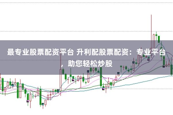 最专业股票配资平台 升利配股票配资：专业平台，助您轻松炒股