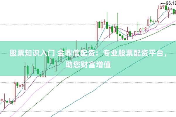 股票知识入门 金鼎信配资：专业股票配资平台，助您财富增值