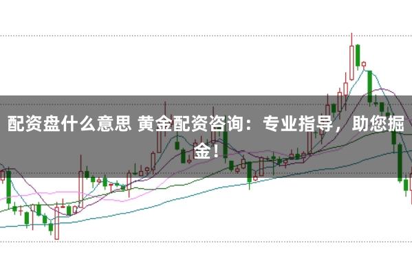 配资盘什么意思 黄金配资咨询:专业指导,助您掘金!