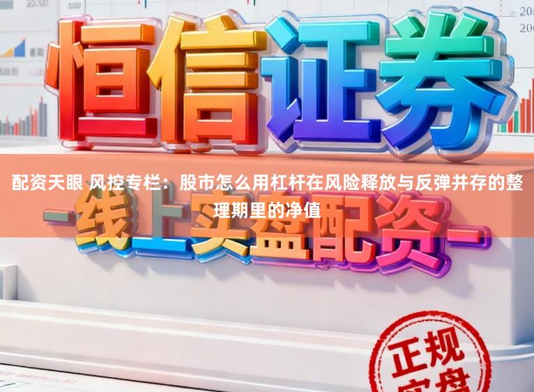 配资天眼 风控专栏：股市怎么用杠杆在风险释放与反弹并存的整理期里的净值