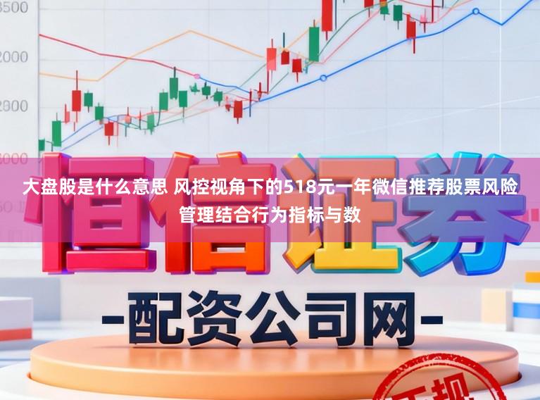 大盘股是什么意思 风控视角下的518元一年微信推荐股票风险管理结合行为指标与数