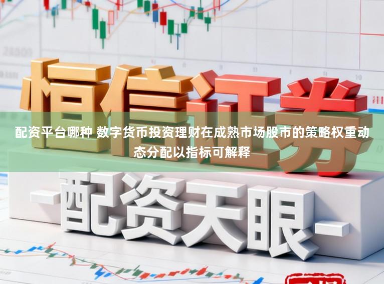 配资平台哪种 数字货币投资理财在成熟市场股市的策略权重动态分配以指标可解释