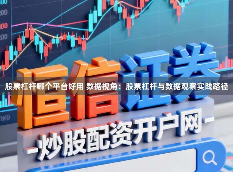 股票杠杆哪个平台好用 数据视角：股票杠杆与数据观察实践路径
